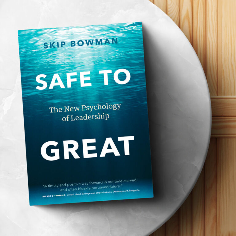 Safe to Great Book - Skib Bowman